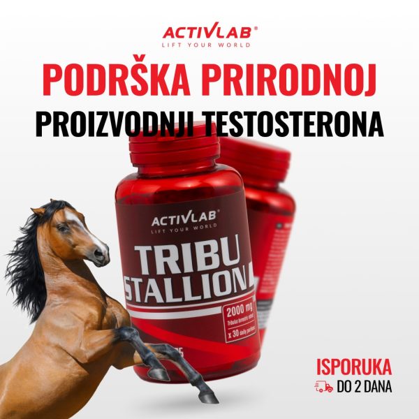 Activlab Tribu Stallion, 60 kapsula, dodatak ishrani sa tribulusom za prirodnu podršku testosteronu i mušku vitalnost.